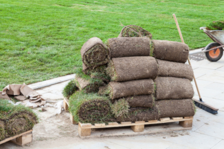laying turf for beginners