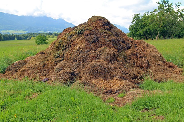 benefits of compost mulch