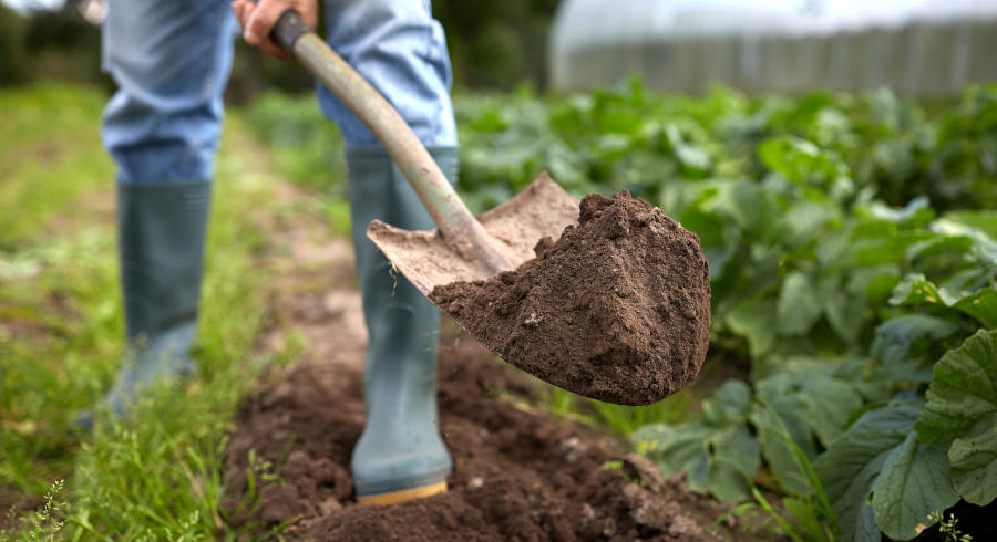 prepare soil for spring
