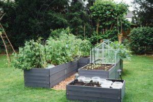 your guide to raised garden beds