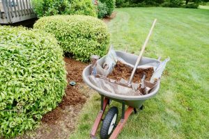 A Guide to Choosing the Right Mulch for Your Garden