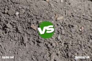 Garden Soil vs Underturf Soil