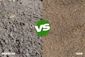 Underturf Soil vs Top Soil