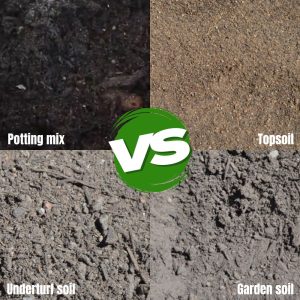 Which Soil Is Right For Your Project